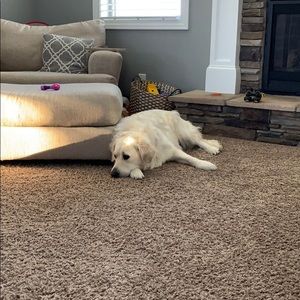 Meet your Posher, Jesse